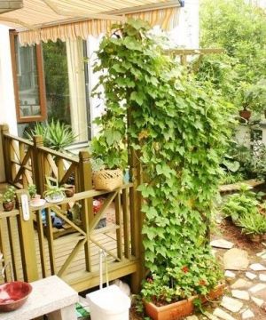 地中海阳台小花园设计效果图