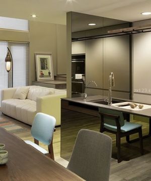 小户型客厅餐厅厨房一体空间设计图片