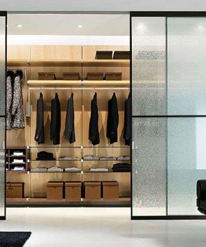 2025样板房衣柜玻璃门设计效果图欣赏