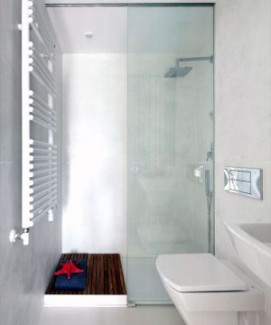 2025小型卫浴磨砂玻璃隔断装修图片