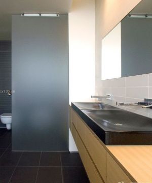 2025最新卫浴磨砂玻璃隔断效果图