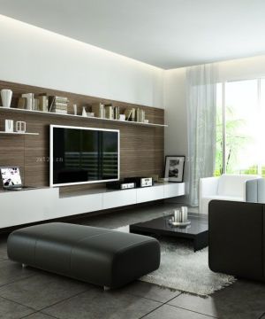 50平米小户型电视背景墙展示架设计样板