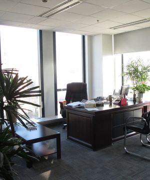 最新简约风格办公室办公桌植物摆设图片