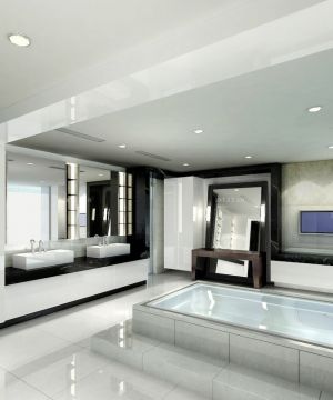 2025农村盖别墅大卫生间装修效果图大全