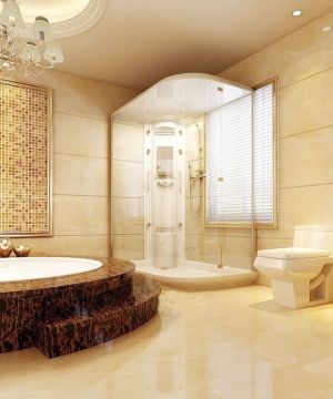 别墅样板房大卫生间装修效果图欣赏2025