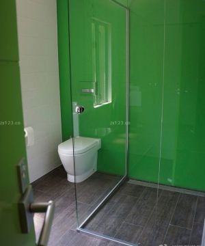 家装简约小户型卫生间玻璃淋浴间装修效果图大全2025图片