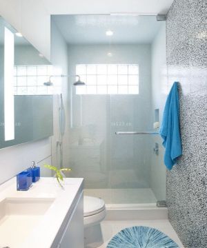 最新小户型卫生间玻璃淋浴间装修效果图大全2025图片