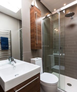 小户型卫生间玻璃淋浴间装修效果图大全2025图片