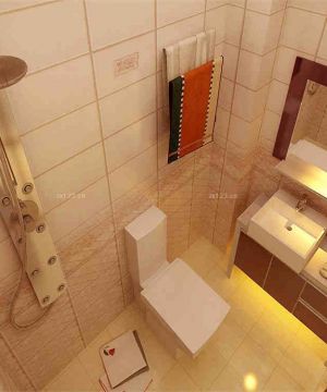 2025家装卫生间设计效果图片