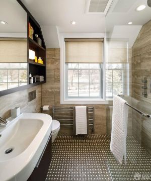 家装小卫生间设计装修图片