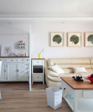 田园家装60平米小房子装修设计效果图片