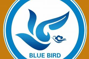 [青鸟设计]免费量房，0元设计，1.0版整装强势入驻